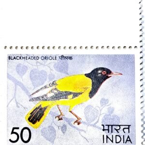 1975 - Blackheaded Oriole