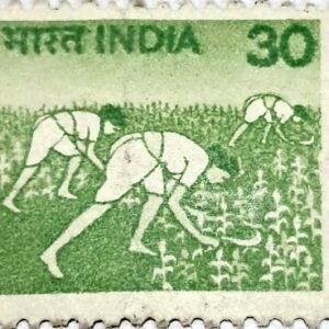 1979 - Harvesting