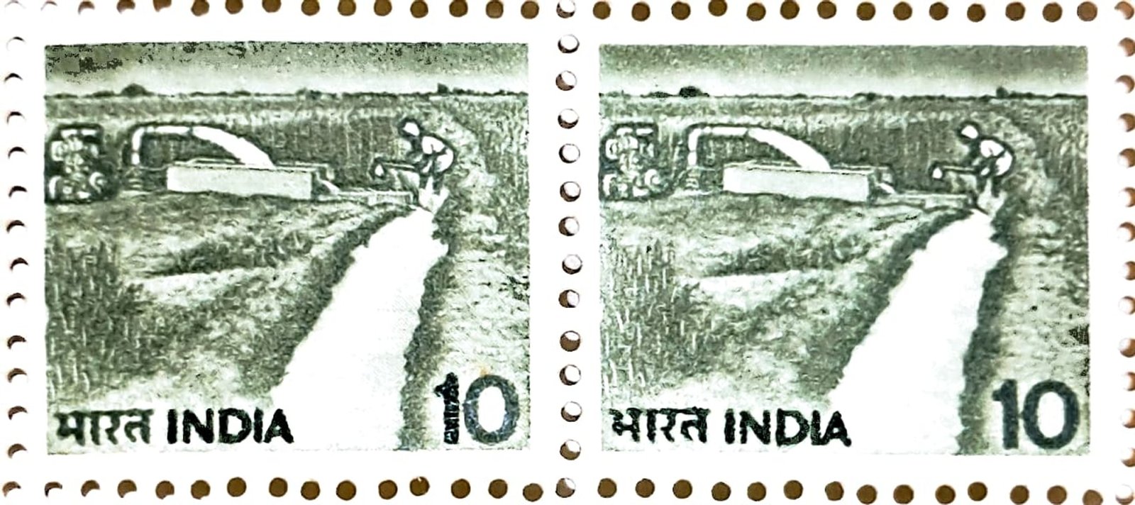 1982 - Irrigation