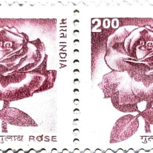 2002 - Rose