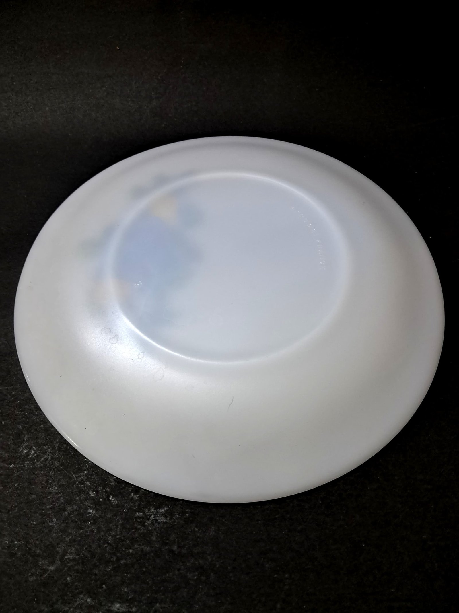 Vintage Set of 6 Arcopal “Fruit de France” Dinner Plates – Made in France
